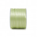 A1006 Dpp rs mm6x100m ERBA 07