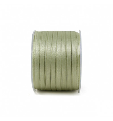 A1006 Dpp rs mm6x100m SALVIA15