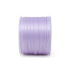 A1006 Dpp rs mm6x100mt LILLA67