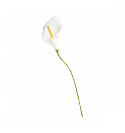 CK761-B Calla polyform BIANCO