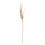 CK1771-P Spiga AVORIO
