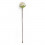 CK6127/P Fruttino MORA PANNA