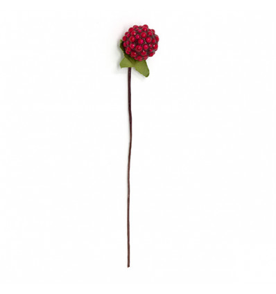 CK6127/RS Fruttino MORA ROSSA