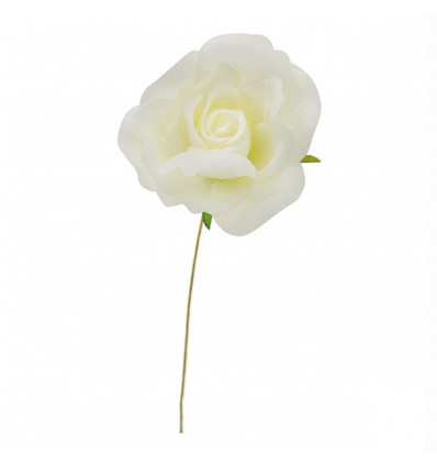 CK7108-P Rosellina d.5 stoffa PANNA