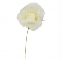 CK7108-P Rosellina d.5 stoffa PANNA