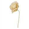 CK7108-BG Rosellina d.5 stoffa BEIGE