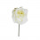CK9071-PN Rosa stoffa d.7,5 PANNA