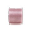 A1003 Dpp rs mm3x100m RS ANT37
