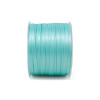 A1006 Dpp rs mm6x100mt TIFFANY 64