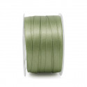 A1010 Dp rs mm10x100m SALVIA15