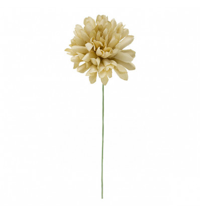 31101/BE Dalia media d.6,5 BEIGE