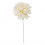 31101/CRE Dalia media d.6,5 CREMA