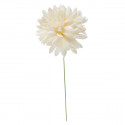 31101/CRE Dalia media d.6,5 CREMA