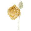 30021/CRE Peonia med.c/foglia d6 stoffa CREMA