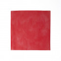 TFQ2550001 Conf. 500 tulle qdr 25x25 file' ROSSO