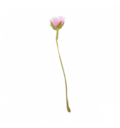 /CK1339-R Rosellina stoffa c/pistilli ROSA