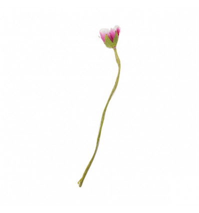 /CK1339-FX Rosellina stoffa c/pistilli FUXIA