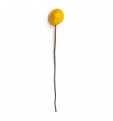 /CK6131 Fruttino LIMONE GIALLO
