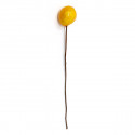 /CK6131 Fruttino LIMONE GIALLO