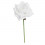 /CK9054-B Rosa rampicante d.9 stoffa BIANCA