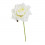 /CK9054-PN Rosa rampicante d.9 stoffa PANNA