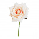 /CK9054-CP Rosa rampicante d.9 stoffa CIPRIA