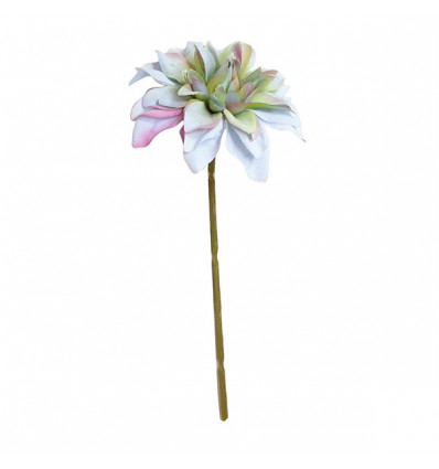 /CK9055-BL Dalia piccola d.8 stoffa CIELO