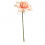/CK9055-OLD Dalia piccola d.8 stoffa ROSA ANTICO
