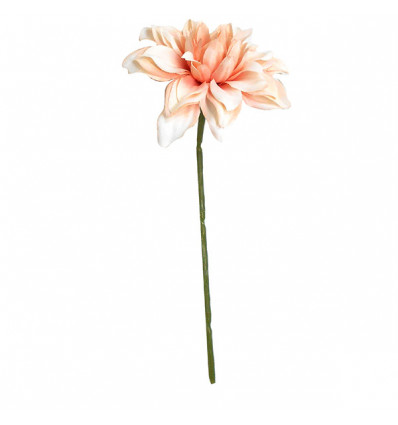/CK9055-OLD Dalia piccola d.8 stoffa ROSA ANTICO