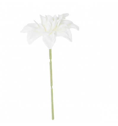 /CK9055-PN Dalia piccola d.8 stoffa PANNA