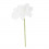 /CK9055-B Dalia piccola d.8 stoffa BIANCO