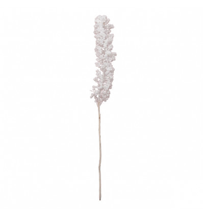/821X019 Ram.nebbiolina BIANCO