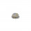 /875X005 Scarabeo glitter argento