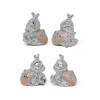 /1099077 Coccinella pcc ROSA cm3 4mod arg/smal.