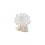 /622x279 Icona albero pcc h9,5 COMUNIONE/CRESIMA legno