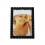 /PF1146B P.foto 10x15 strass NERO giusy