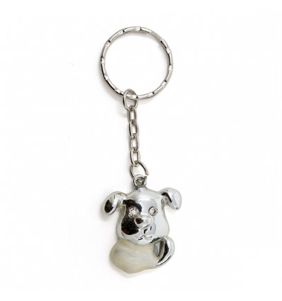/DA 886 P.chiavi CAGNOLINO res. arg. cm3,5