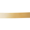 A1025 Dpp rs mm25x50mt AMBR177