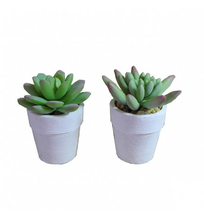 /QLUX20150 Pianta grassa artif. h9 2mod. vaso BIANCO