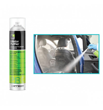/29491 Spray igienizzante 600ml interior purifer