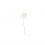 /K4106-P Rosellina stoffa d.3 PANNA