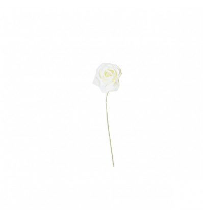/K4106-P Rosellina stoffa d.3 PANNA
