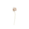 /K4106-T Rosellina stoffa d.3 TORTORA