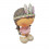 /TB 13177c Bimba INDIANA gde h20 res.col.