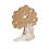 /CB 1317 Sposi 2 seduti h14 su albero legno (ex TB 1312)