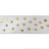 Z25/SR/O D.Raso pois lamin. mm25x10mt ORO 102